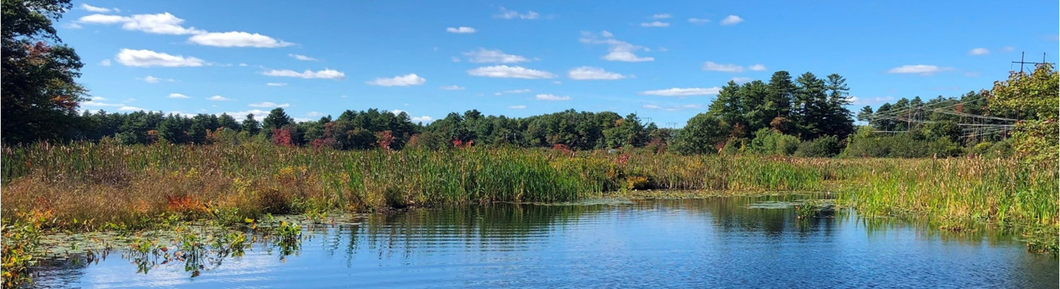 stonybrook
